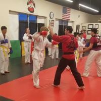 APSK Martial Arts Academy ico