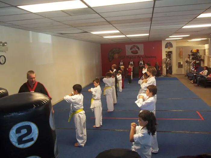 APSK Martial Arts Academy Picture 3