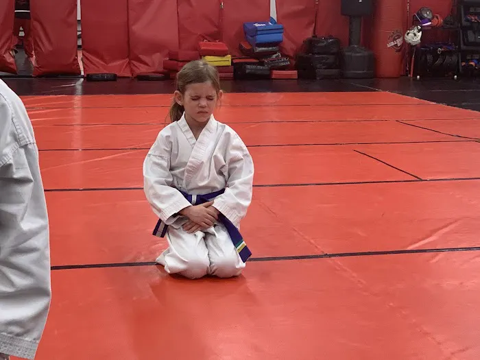 APSK Martial Arts Academy Picture 6