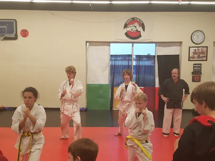 APSK Martial Arts Academy Picture 2