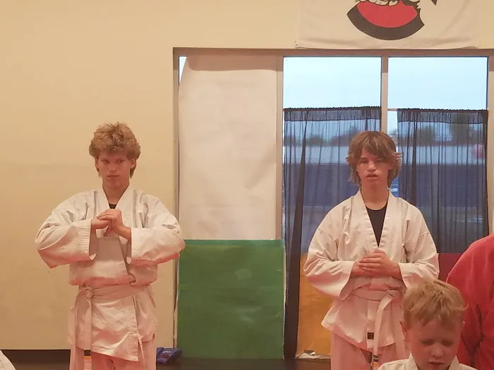 APSK Martial Arts Academy Picture 4