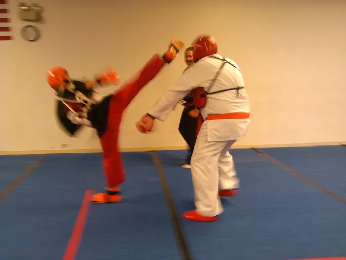 APSK Martial Arts Academy Picture 8