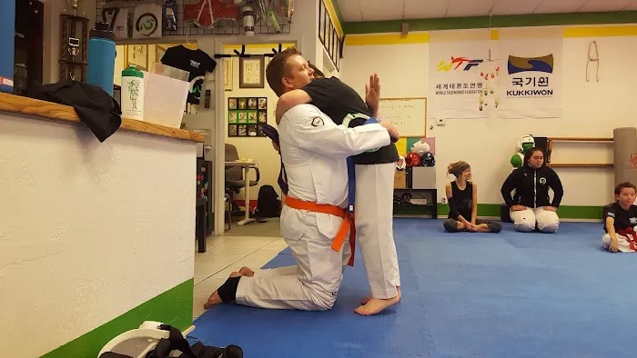 JMAP Academy Taekwondo, Tricking, and KPOP (Formerly Choi's Black Belt Academy) Picture 4