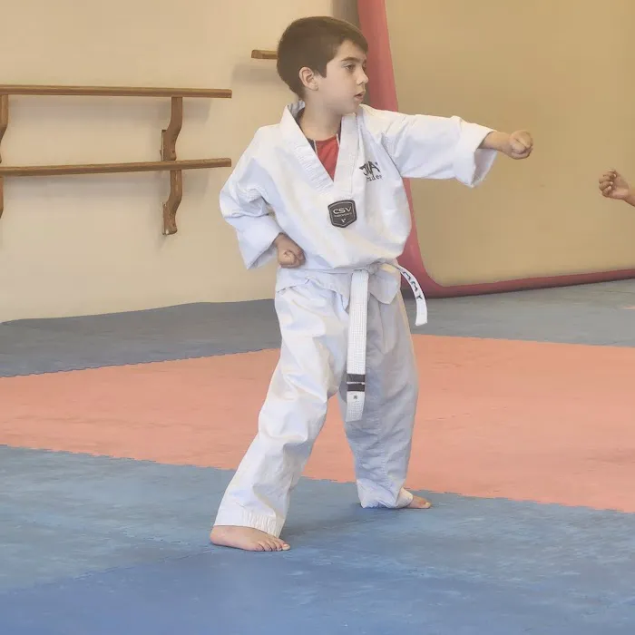 JMAP Academy Taekwondo, Tricking, and KPOP (Formerly Choi's Black Belt Academy) Picture 1