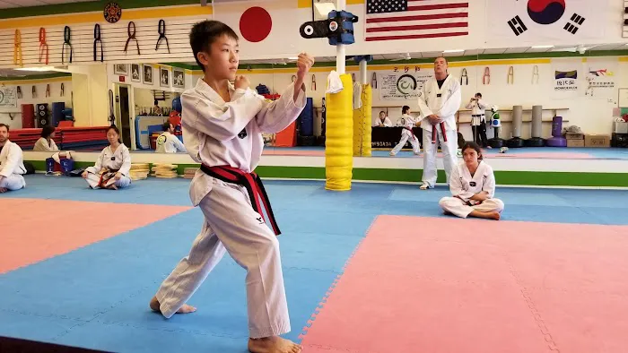 JMAP Academy Taekwondo, Tricking, and KPOP (Formerly Choi's Black Belt Academy) Picture 9