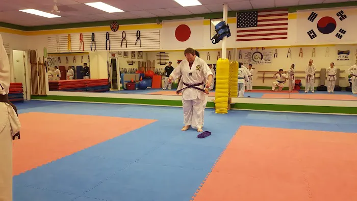 JMAP Academy Taekwondo, Tricking, and KPOP (Formerly Choi's Black Belt Academy) Picture 7