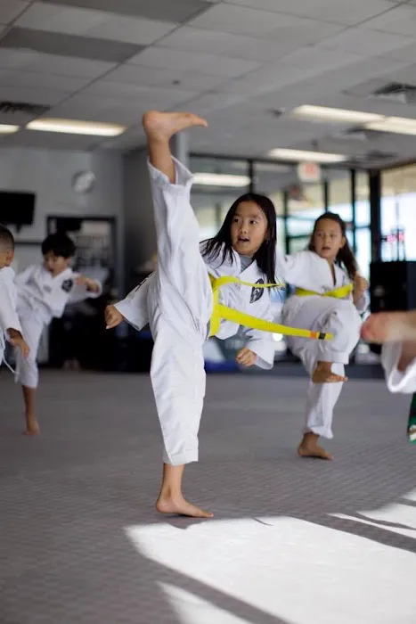 NB Taekwondo & Fitness Center Picture 8