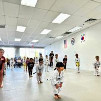 Master Shim's World Champion Tae Kwon Do ico