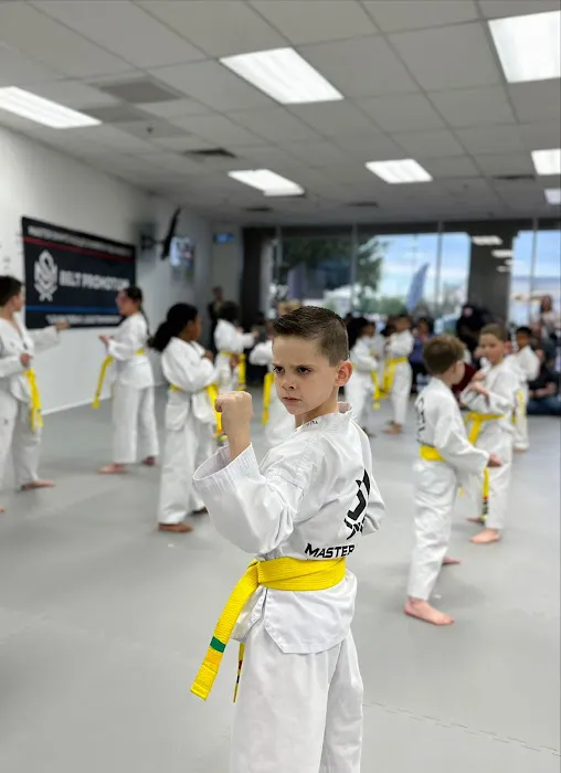 Master Shim's World Champion Tae Kwon Do Picture 8