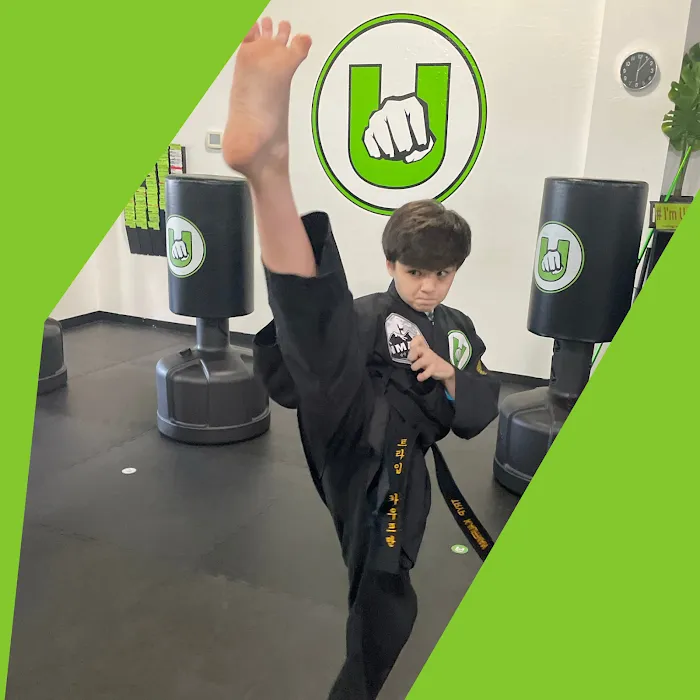 Unstoppable Martial Arts Picture 10