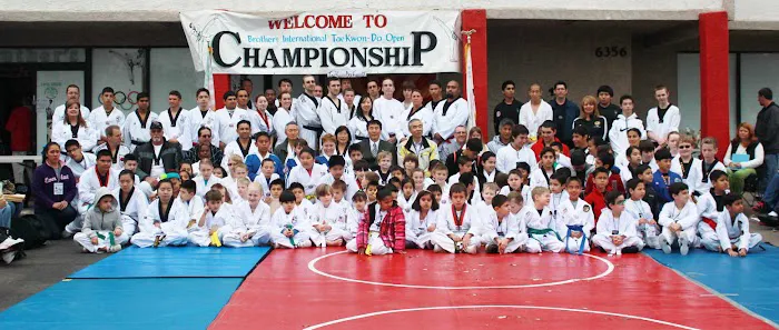 Brother's Taekwondo Picture 4