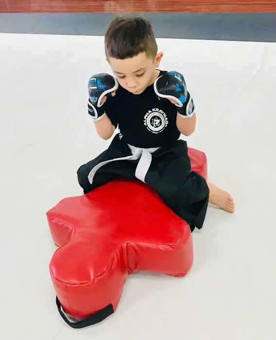 Next Level Fitness & Martial Arts Picture 4