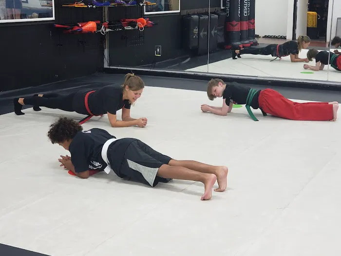 Next Level Krav Maga Gilbert, Kickboxing, Taekwondo, Kids Karate, Brazilian Jiu-Jitsu, Self Defense Picture 1