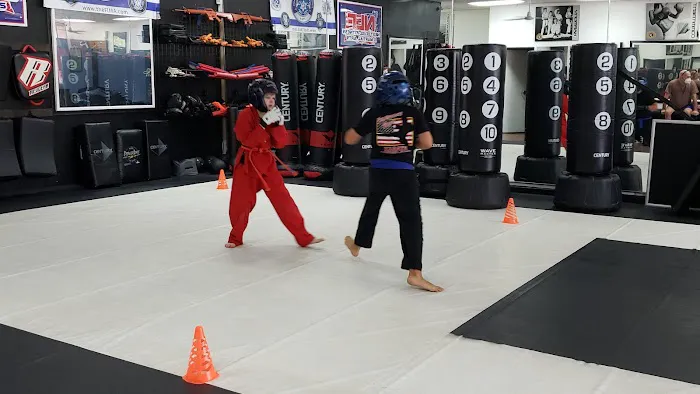 Next Level Krav Maga Gilbert, Kickboxing, Taekwondo, Kids Karate, Brazilian Jiu-Jitsu, Self Defense Picture 3