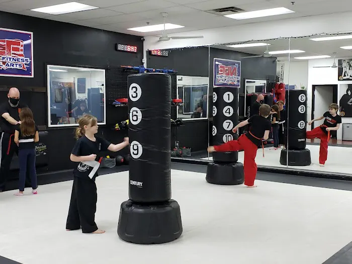 Next Level Krav Maga Gilbert, Kickboxing, Taekwondo, Kids Karate, Brazilian Jiu-Jitsu, Self Defense Picture 7