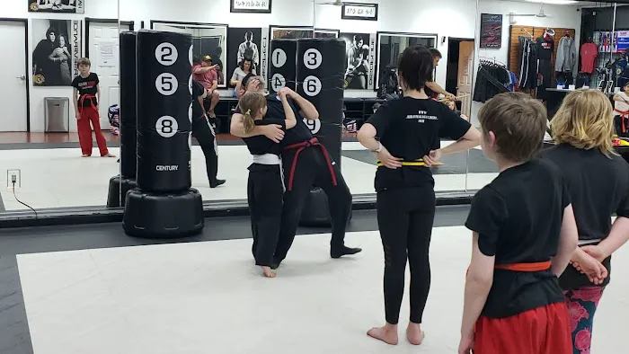 Next Level Krav Maga Gilbert, Kickboxing, Taekwondo, Kids Karate, Brazilian Jiu-Jitsu, Self Defense Picture 5