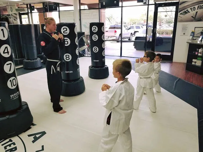 Next Level Krav Maga Gilbert, Kickboxing, Taekwondo, Kids Karate, Brazilian Jiu-Jitsu, Self Defense Picture 10