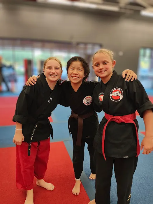 Zanshin American Karate and Kenpo Picture 3