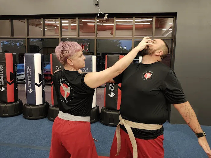 Zanshin American Karate and Kenpo Picture 4