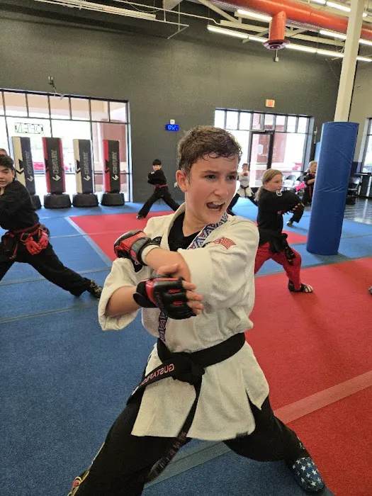 Zanshin American Karate and Kenpo Picture 8