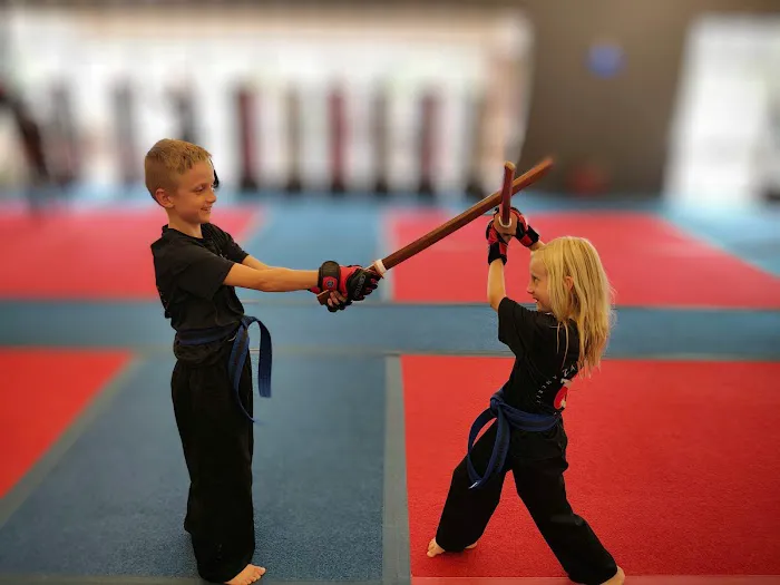 Zanshin American Karate and Kenpo Picture 7