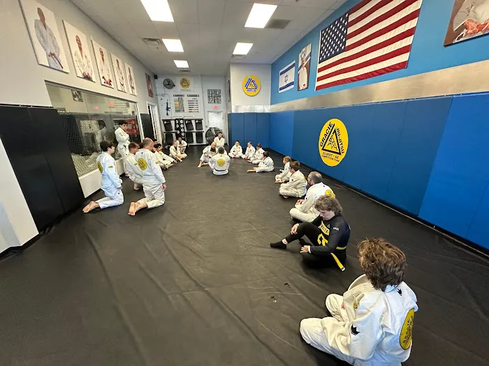 Next Level Krav Maga & Gracie Humaita Jiu-Jitsu Picture 2