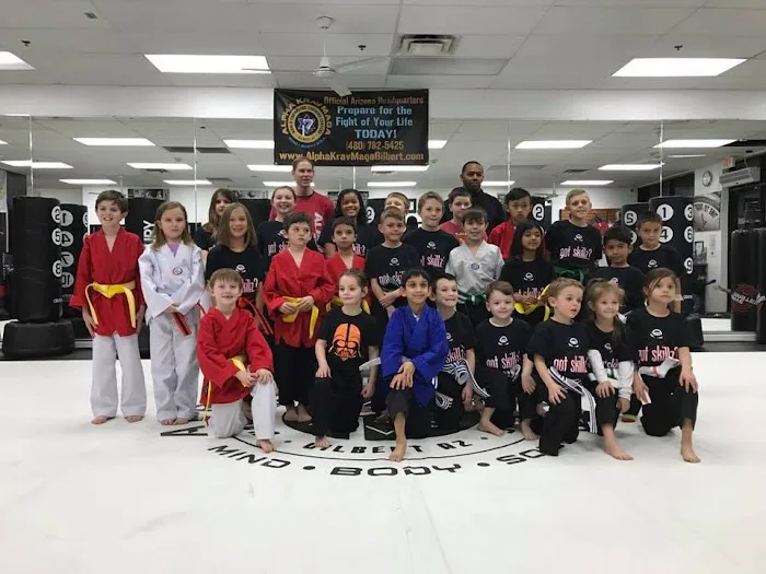 Next Level Krav Maga & Gracie Humaita Jiu-Jitsu Picture 8