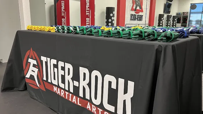 Tiger-Rock Martial Arts of Gilbert Picture 2