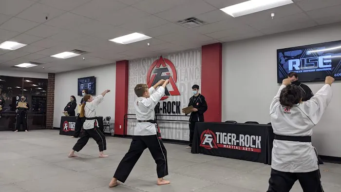 Tiger-Rock Martial Arts of Gilbert Picture 6
