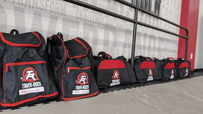 Tiger-Rock Martial Arts of Gilbert Picture 7