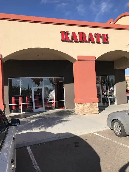 Sandoval Freestyle Karate Picture 4