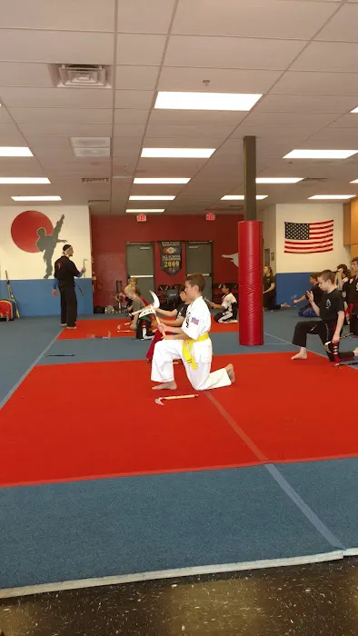 Team USA Martial Arts Picture 3
