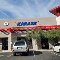 Team USA Martial Arts ico