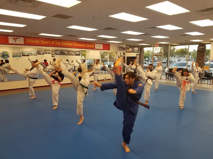 Master Kim's World Tae Kwon Do Picture 2