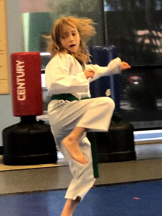 Martial Arts Academy of Tang Soo Do Arizona Picture 5