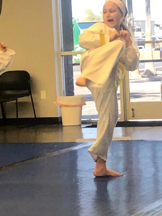 Martial Arts Academy of Tang Soo Do Arizona Picture 1