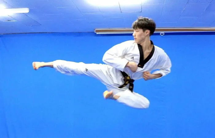 Korea Tae Kwon DO Academy Picture 2