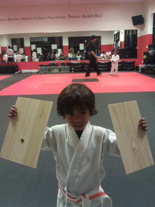 Sandoval Freestyle Karate Picture 6