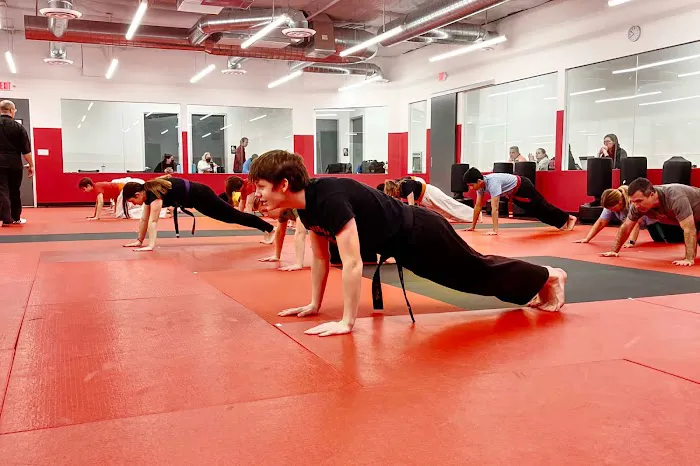 Sandoval Freestyle Karate Picture 5