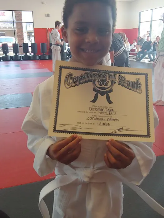 Sandoval Freestyle Karate Picture 8