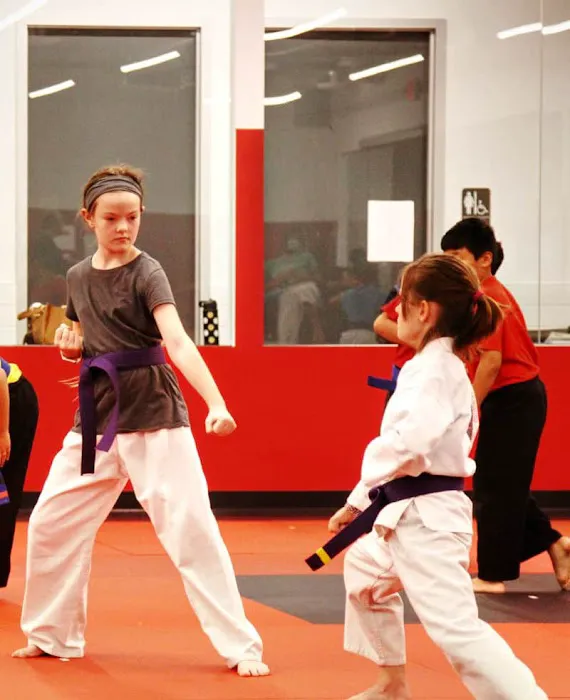 Sandoval Freestyle Karate Picture 9