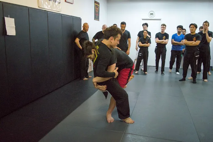 Integrative Wing Chun Phoenix Picture 1