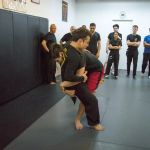 Integrative Wing Chun Phoenix