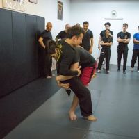 Integrative Wing Chun Phoenix ico