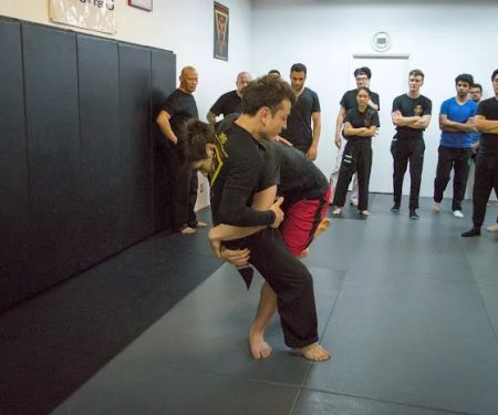 Integrative Wing Chun Phoenix