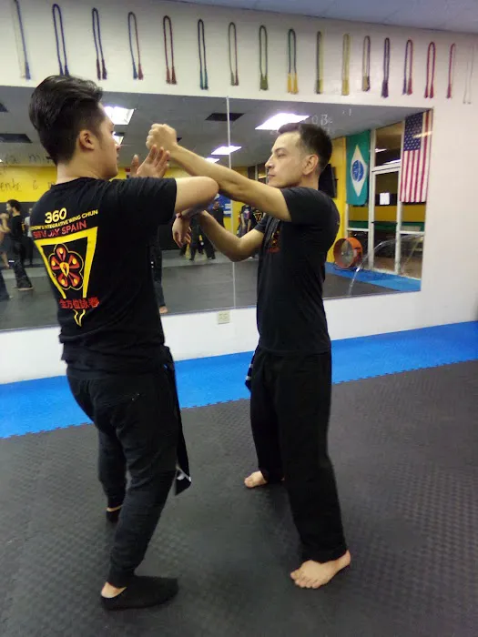 Integrative Wing Chun Phoenix Picture 3