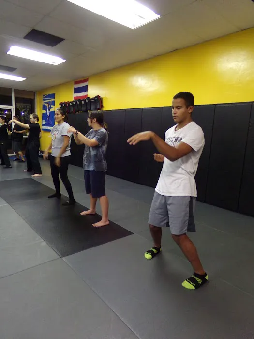 Integrative Wing Chun Phoenix Picture 6