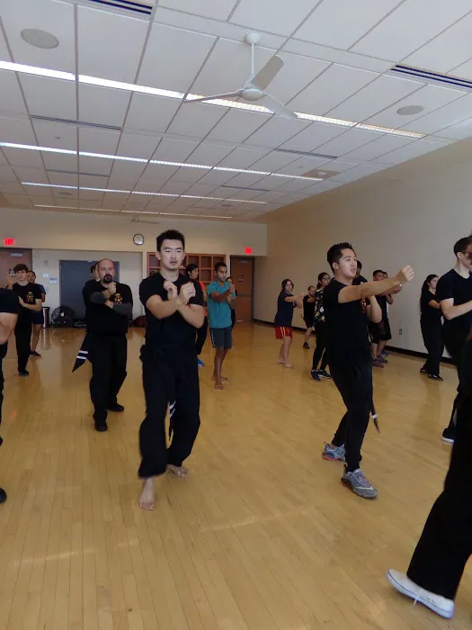 Integrative Wing Chun Phoenix Picture 5