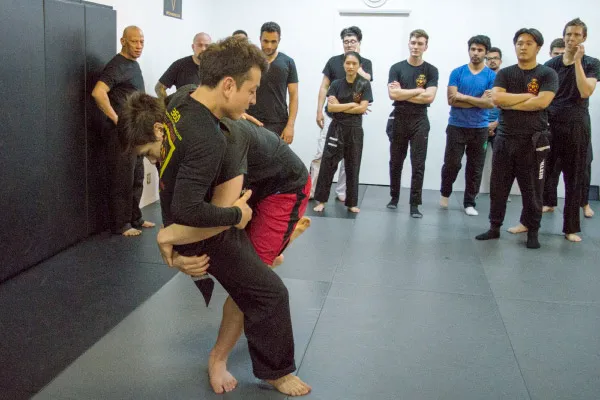 Integrative Wing Chun Phoenix Picture 7