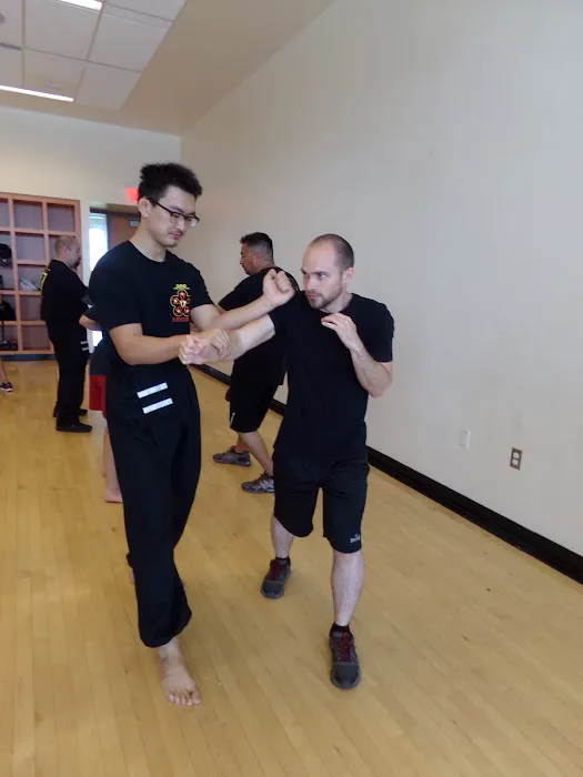 Integrative Wing Chun Phoenix Picture 8